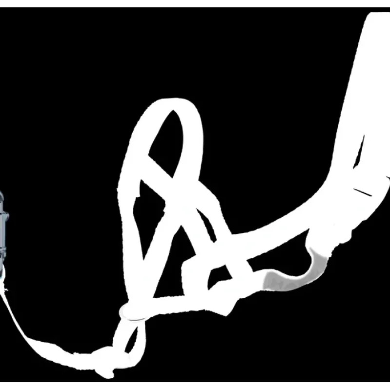 Outlet Pet Shop Direct - PetLife Halti Head Collar Black Large - Pet Home | The Perfect Pet Supplies Shopping Experience Pet Toys