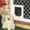Best Pet Shop Direct - Petway Security Pet Door White Small - Pet Home | The Perfect Pet Supplies Shopping Experience Cats