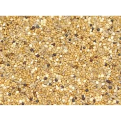 Best Sale Pet Shop Direct - Premium Bird Seed Finch Mix 3kg - Pet Home | The Perfect Pet Supplies Shopping Experience Shop All