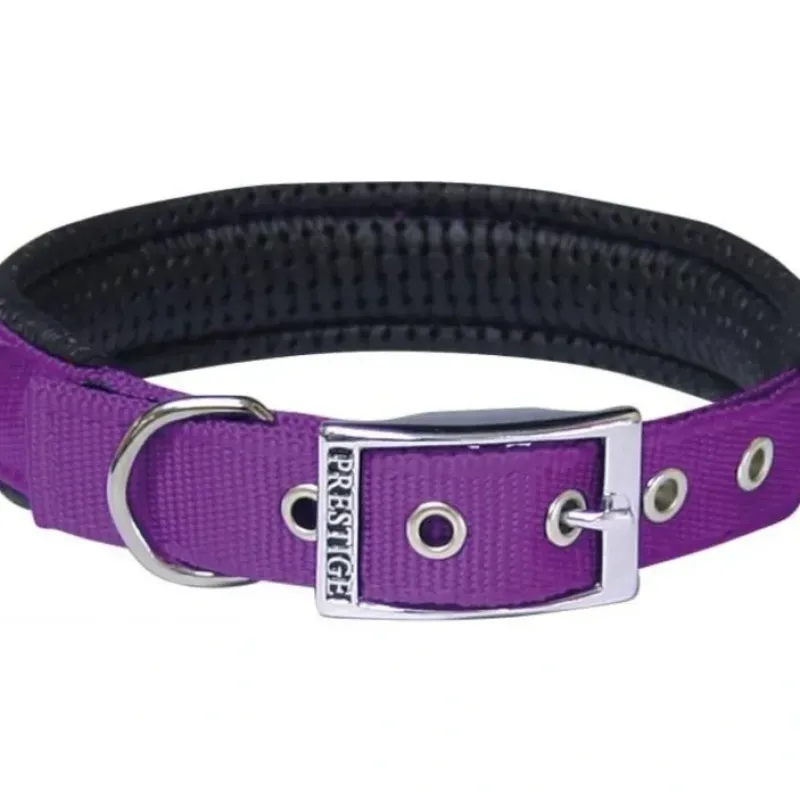 Best Pet Shop Direct - Prestige Soft Padded Collar 1" x 26" (66cm) Purple - Pet Home | The Perfect Pet Supplies Shopping Experience Shop All