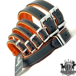 Best Pet Shop Direct - Rogue Royalty Tuscan Rogue Leather Black/Orange Dog Collar 55cm L - Pet Home | The Perfect Pet Supplies Shopping Experience Shop All