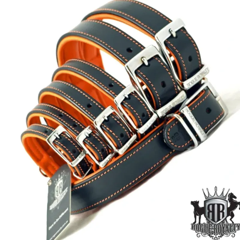 Store Pet Shop Direct - Rogue Royalty Tuscan Rogue Leather Black/Orange Dog Collar 50cm M - Pet Home | The Perfect Pet Supplies Shopping Experience Shop All