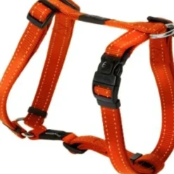Outlet Pet Shop Direct - Rogz Fanbelt H Harness Large Orange - Pet Home | The Perfect Pet Supplies Shopping Experience Dogs