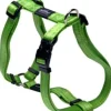 Hot Pet Shop Direct - Rogz Fanbelt H Harness Lime - Pet Home | The Perfect Pet Supplies Shopping Experience Dogs