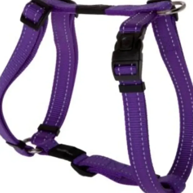 Shop Pet Shop Direct - Rogz Fanbelt H Harness Large Purple - Pet Home | The Perfect Pet Supplies Shopping Experience Dogs