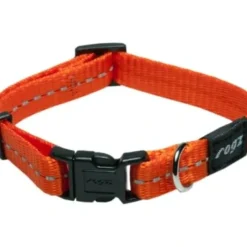 Best Sale Pet Shop Direct - Rogz Nitelife Collar Small Orange - Pet Home | The Perfect Pet Supplies Shopping Experience Shop All
