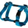 New Pet Shop Direct - Rogz Nitelife H Harness Small Turquoise - Pet Home | The Perfect Pet Supplies Shopping Experience Dogs