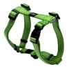 Store Pet Shop Direct - Rogz Snake H Harness Lime - Pet Home | The Perfect Pet Supplies Shopping Experience Dogs