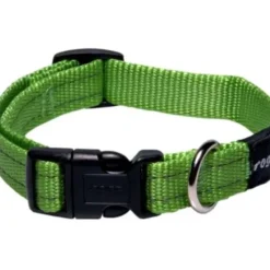 Best Sale Pet Shop Direct - Rogz Snake Collar Medium Lime - Pet Home | The Perfect Pet Supplies Shopping Experience Shop All