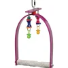 Cheap Pet Shop Direct - Sweet Feet & Beak Whirly Bird Swing Small - Pet Home | The Perfect Pet Supplies Shopping Experience Pet Toys