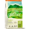 Fashion Petcurean Gather Endless Valley Vegan Recipe with Organic Peas Adult Dry Dog Food - Pet Home | The Perfect Pet Supplies Shopping Experience Shop All