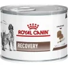 Cats*Royal Canin Recovery Canine/Feline 195g Tray of 12 - Pet Home | The Perfect Pet Supplies Shopping Experience